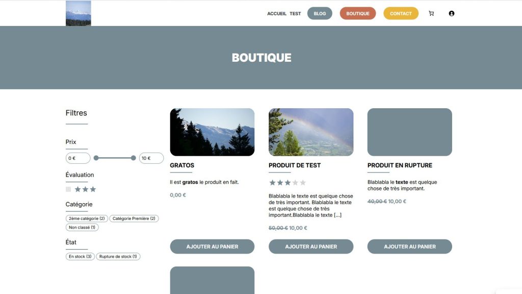 Création de sites e-commerce - Boutique